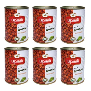 کنسرو عدسی شهدین - 370 گرم بسته 6
