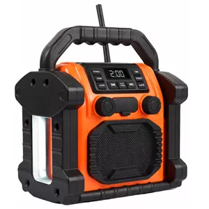 رادیو اسپیکر FM مدل P250 دارای Bluetooth