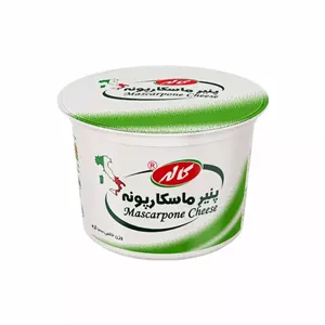 پنیر ماسکارپونه 1 کیلوگرمی