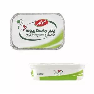 پنیر ماسکارپونه 350 گرمی