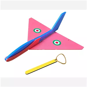 هواپیما فومی R260(پس کرایه)