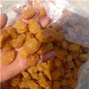 الو بخارا