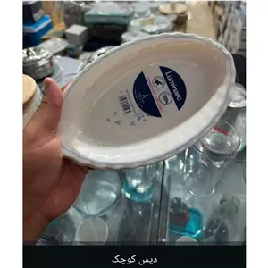 دیس کوچک لومینارک فرانسه