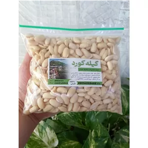 باقالی خورشتی بسته بندی 500 گرمی