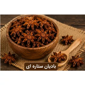 بادیان ستاره ای بادیان ختایی 100 گرمی