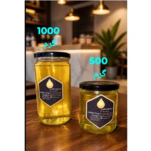 عسل طبیعی جنگل (500 گرم ) نمدار و خرمالوی جنگلی قطره طلایی 