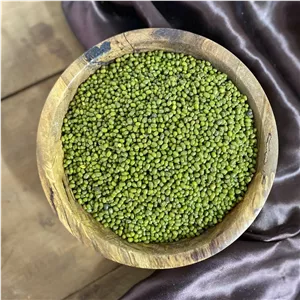 ماش سبز دلپذیر 
