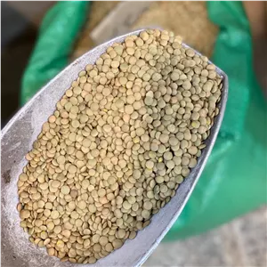 عدس درجه یک 