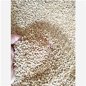 عدس ریز اعلا
