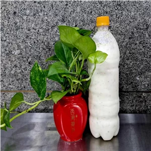 دوغ محلی خانواده