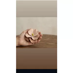 قالب گل ارکیده