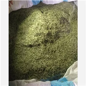 رزماری امساله برگ خشک اعلا 50 کیلوگرمی ارسال با باربری پس کرایه