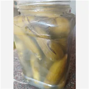 خیارشور خانگی کاملا ارگانیک وباغی ویژه 