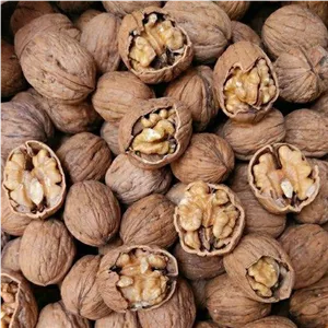 گردو پوست کاغذی خارجی بسته نیم کیلویی