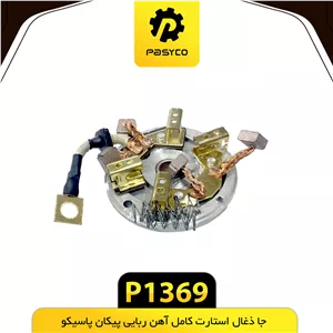 ذغال استارت کامل با اهنربا پیکان پاسیکو p1369