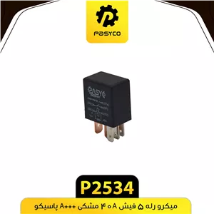 میکرو رله 5 فیش 40A مشکی +A پاسیکو P2534 ک500
