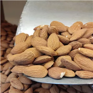 بادام درختی زرین خام 
