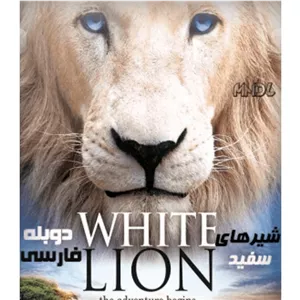 مستند شیر سفید حیات وحش