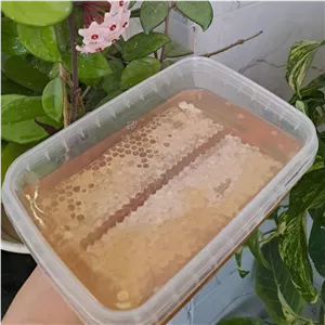 عسل طبیعی بهاره با موم