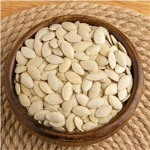 تخمه کدو گرم ترد لوکس پخت روز (500 گرمی)