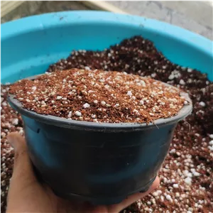خاک مخصوص گیاهان آپارتمانی 