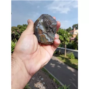 راف جاسپر منظره بینظیر 