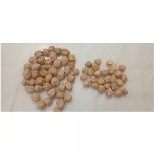 نخود ارگانیک زودپز خراسان وزن 3 کیلوگرم