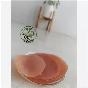 قارچ کامبوجا (اسکوبی به همراه استارتر)