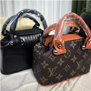 کیف دستی صندوقی LV مینی بگ