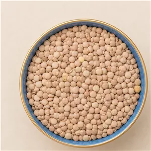 عدس درشت روس درجه 1