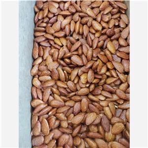 مغز بادام ایرانی شور اعلا زرین نیم کیلویی