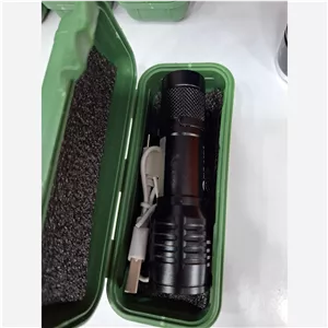 چراغ قوه پلیسی کوچک 