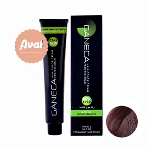 رنگ مو گانسا شماره C6