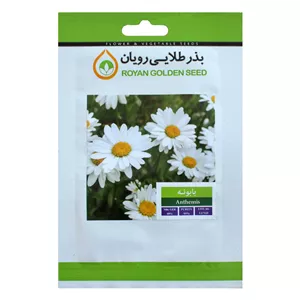 بذر گیاه بابونه بذر طلایی رویان کد