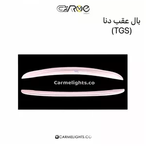 بال عقب دنا (TGS)