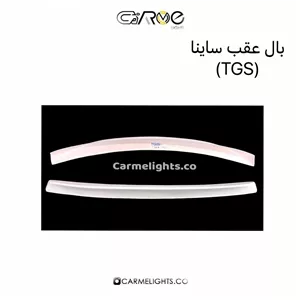 بال عقب ساینا (TGS)