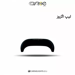 لیپ اگزوز
