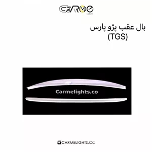 بال عقب پژو پارس (TGS)