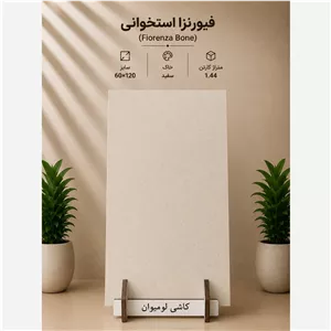 سرامیک اسلب 60 120 فیورنزا استخوانی