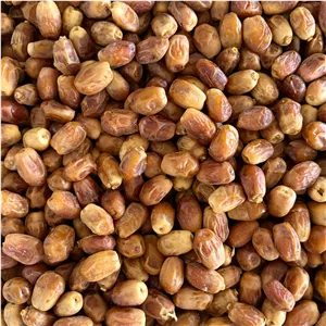 خرما زاهدی لوکس صادراتی (کارتن 10 کیلویی)
