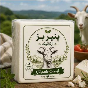 پنیر بز ارگانیک نیم کیلو