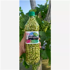 غوره غوره شور بطری یک کیلویی
