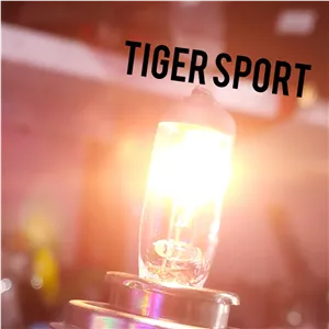 لامپ (سه خار )H4 مناسب پیکان 100W برند ایگل 