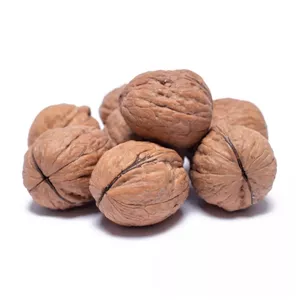 گردو پوست کاغذی مرغوب 500گرمی
