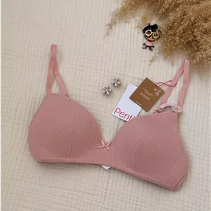 سوتین زنانه پنتی مدل Comfy Cosy Pointel