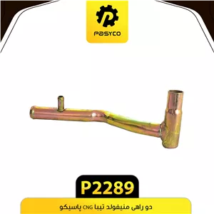 دوراهی منیفولد تیبا CNG پاسیکو p2289 ب10 ک50
