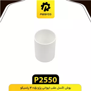 بوش اکسل عقب لیوانی پژو 405 پاسیکو P2550ب10 ک100