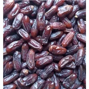 خرمای ربی