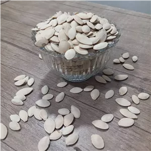 تخمه کدو بوداده کم نمک میان وعده سالم