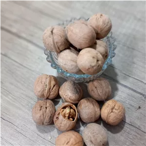 گردو با پوست کاغذی (گردو پوست کاغذی سفید)